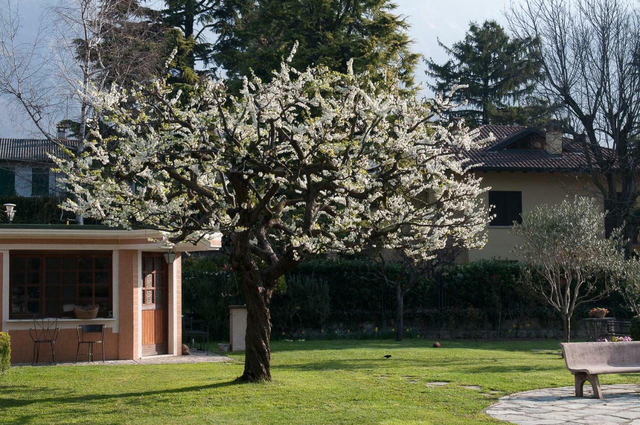 Casetta Del Molo Mandello del Lario Exterior foto